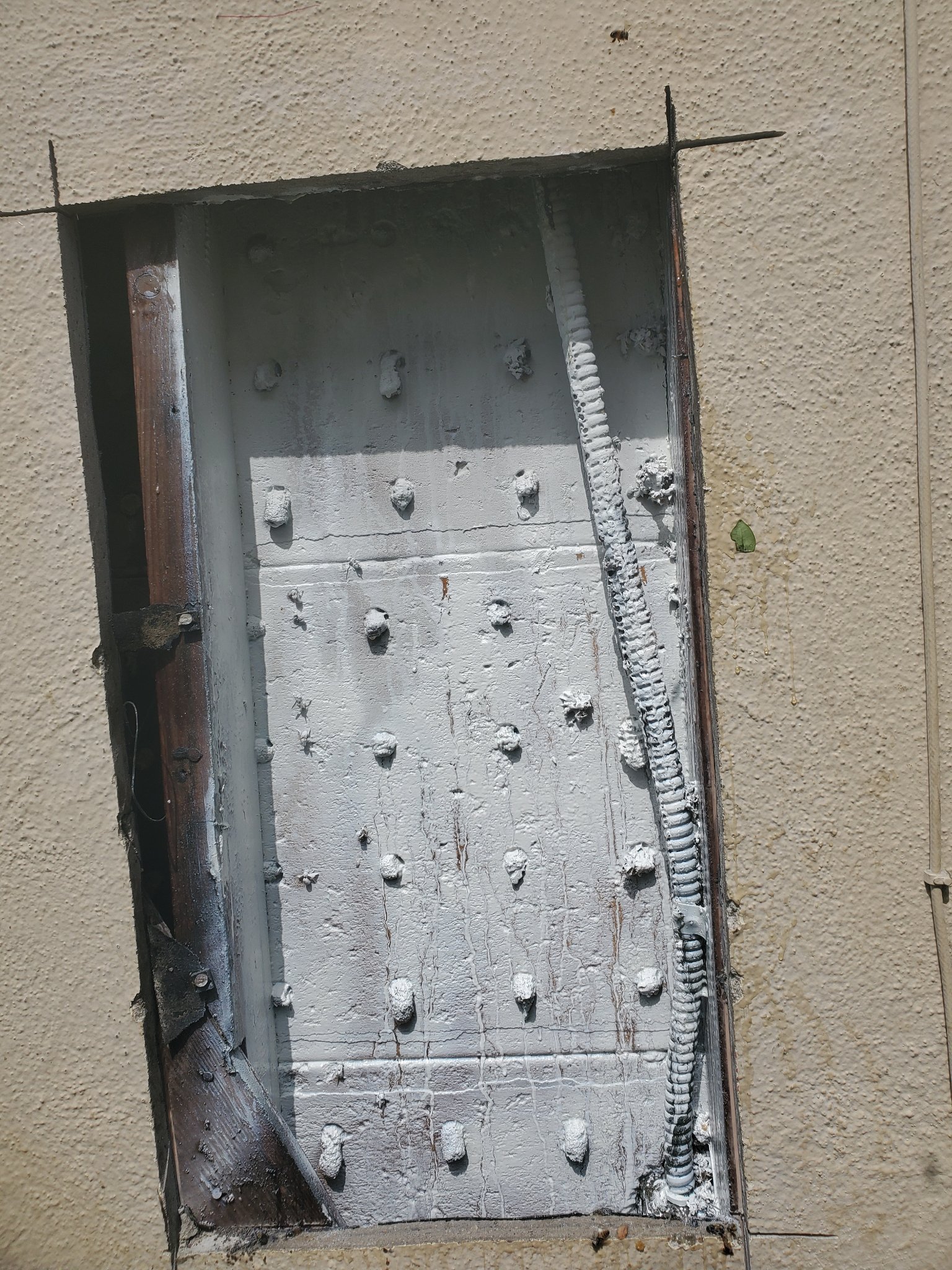 Honeycomb removal complete Rancho Cucamonga CA — clean sealed wall cavity after full comb extraction and bee proofing by Affordable Bee Services Inland Empire