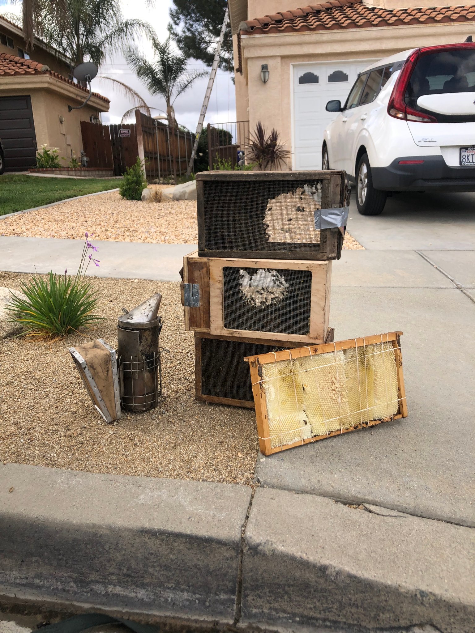 Bee removal equipment Inland Empire CA — custom capture boxes and smoker used by Affordable Bee Services on a residential bee removal job in Southern California